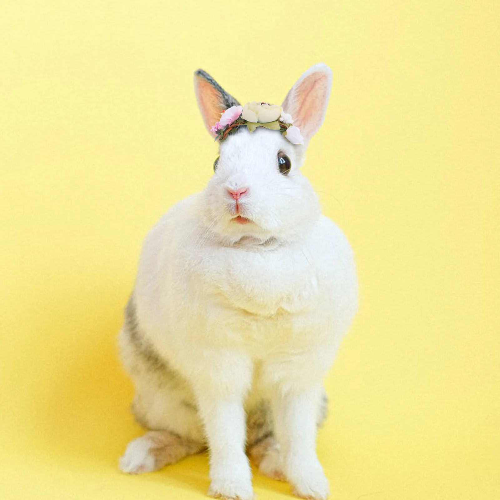 Pet Flower Headband Floral Crown Elegant Cute Decoration Band Wreath Hair Hoop For Cat Dog Small Animals Party Wear
Pet Flower Headband Floral Crown Elegant Cute Decoration Band Wreath Hair Hoop For Cat Dog Small Animals Party Wear