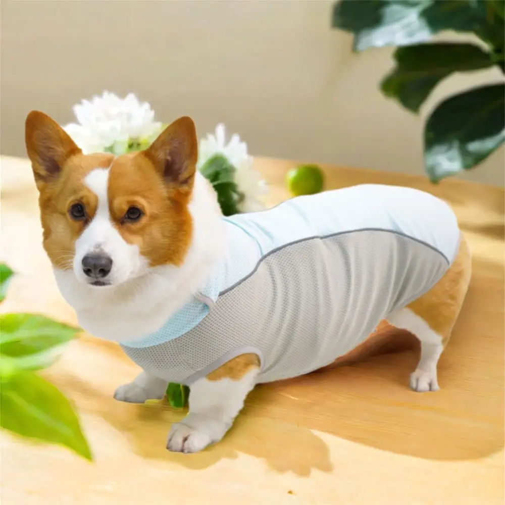 Thin Fabric Dog Cooling Vest Quick Dry Mesh Dog Clothes Sun Protection Breathable Pet Sleeveless Clothes Beach Walk 
Thin Fabric Dog Cooling Vest Quick Dry Mesh Dog Clothes Sun Protection Breathable Pet Sleeveless Clothes Beach Walk