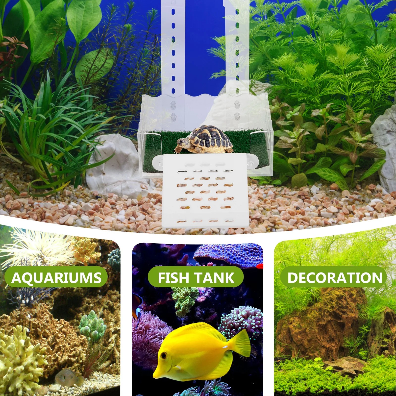 Multi-Use Turtle Platform for Reptiles Basking Sunning Ramp Acrylic Climbing Island for Tortoise Supplies Terrarium Accessories
Multi-Use Turtle Platform for Reptiles Basking Sunning Ramp Acrylic Climbing Island for Tortoise Supplies Terrarium Accessories