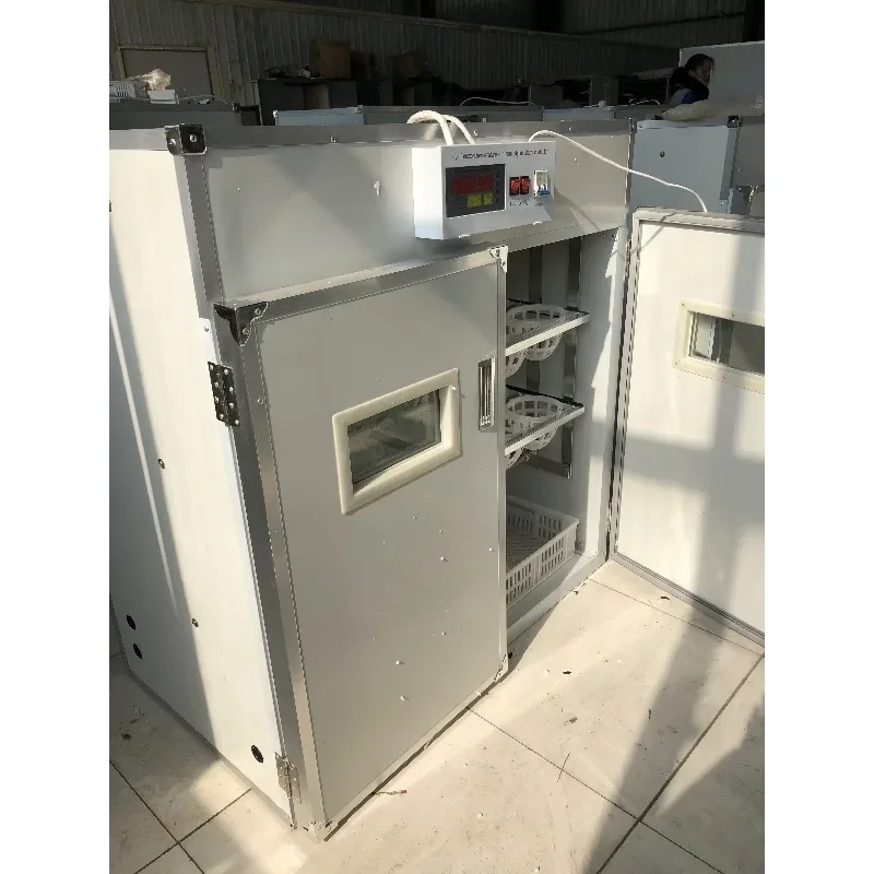 【Лучшие продажи】Остригают яйца птицы фермы для продажи Узбекистана
【Лучшие продажи】Остригают яйца птицы фермы для продажи Узбекистана