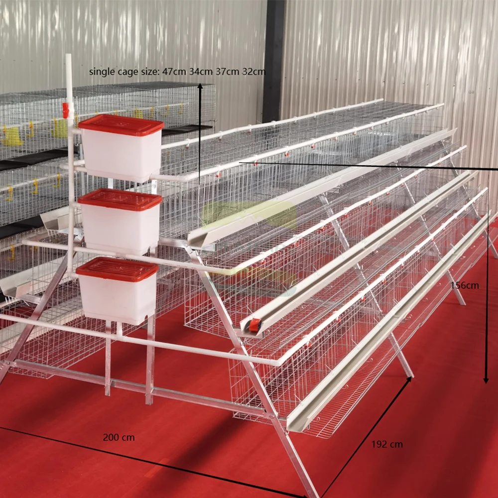 Customization Layer Chicken Cage Egg Laying Hens Farming Chicken Battery Chicken Coop H Type
Customization Layer Chicken Cage Egg Laying Hens Farming Chicken Battery Chicken Coop H Type