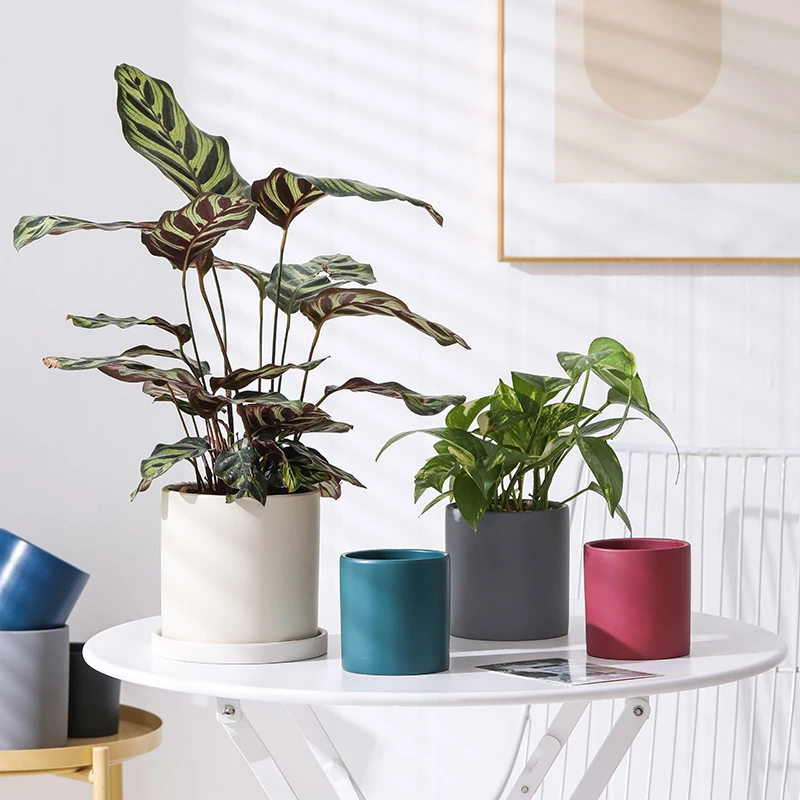 1pc European Pure Color Flower Pot Home Decoration Succulent Ceramic FlowerPot Plant
1pc European Pure Color Flower Pot Home Decoration Succulent Ceramic FlowerPot Plant