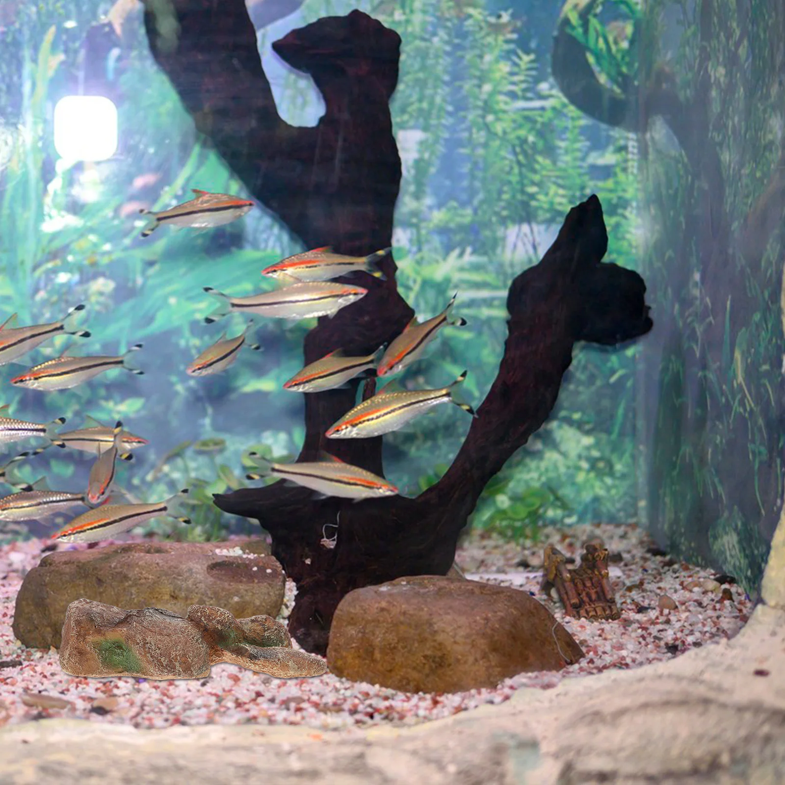 Artificial Mountain Decor For Aquarium Realistic Resin Rockery Landscape Ornaments Fish Tank Hideout Cave Betta Fish House
Artificial Mountain Decor For Aquarium Realistic Resin Rockery Landscape Ornaments Fish Tank Hideout Cave Betta Fish House