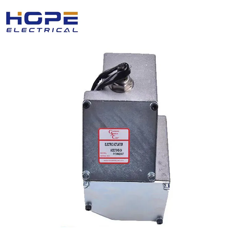 Оригинальный привод GAC ACB275H ACE275H-24 ACE275HD-24 ACE275J-24 привод
Оригинальный привод GAC ACB275H ACE275H-24 ACE275HD-24 ACE275J-24 привод