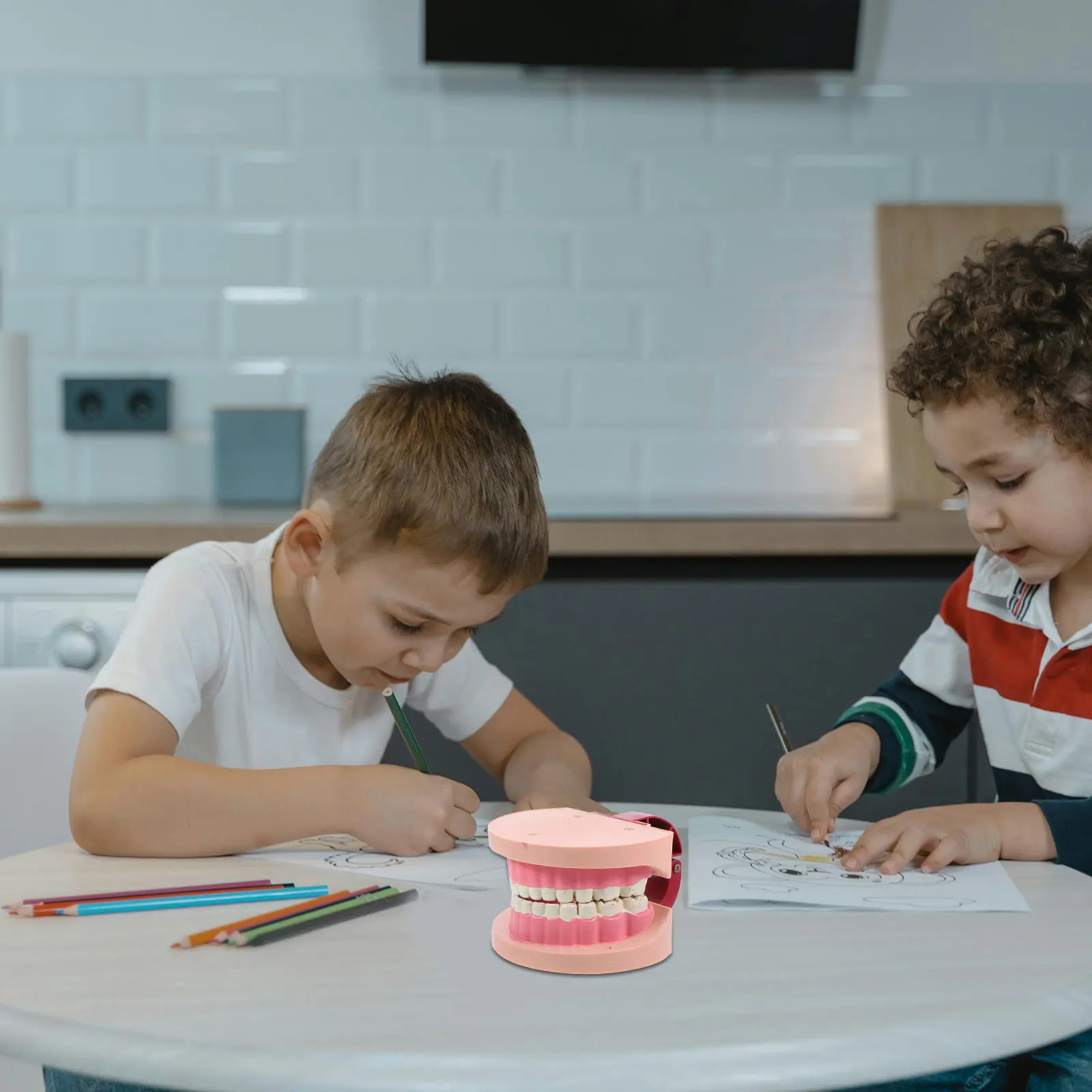 Realistic Human Teeth Dental Teaching Structure for Kids Science Lab Elementary Experiments Oral Education Science Tools
Realistic Human Teeth Dental Teaching Structure for Kids Science Lab Elementary Experiments Oral Education Science Tools