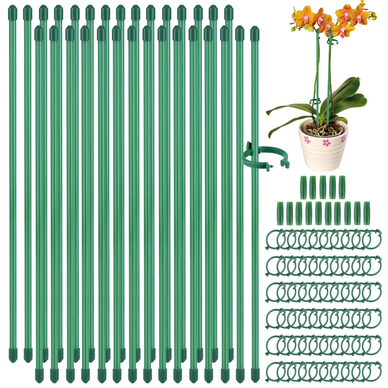 30Pcs Adjustable Plant Support Plant Support Stakes with Clips & Connectors Climbing Plants Stands for Orchids Peonies Plants
30Pcs Adjustable Plant Support Plant Support Stakes with Clips & Connectors Climbing Plants Stands for Orchids Peonies Plants