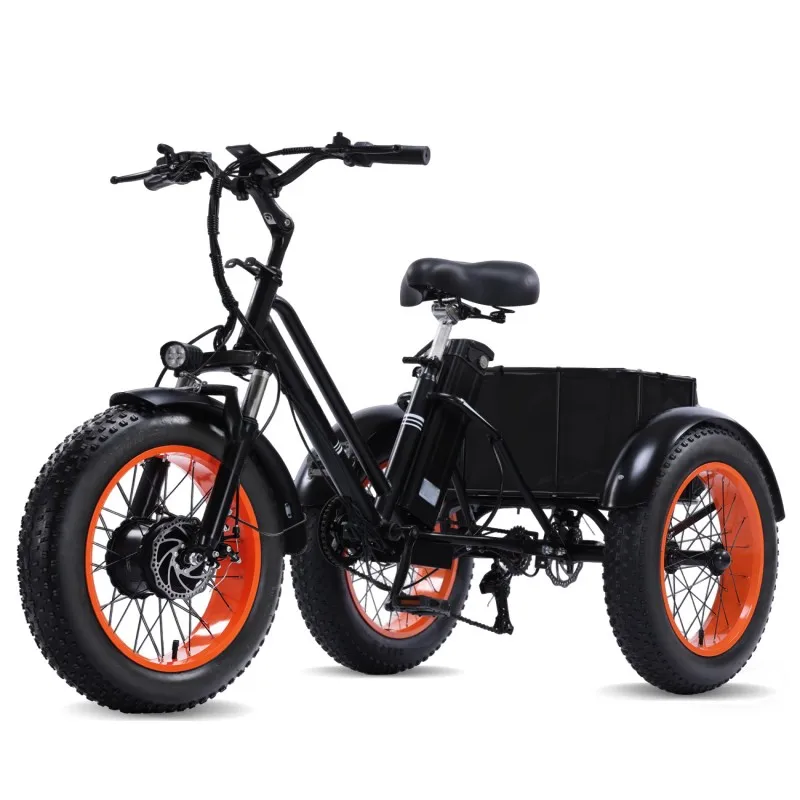 Powerful Peak 750W 48V15AH Versatile Electric Tricycle for Adults, Stable 3 Wheel E-Bike for Daily Commute, Riding and Shopping
Powerful Peak 750W 48V15AH Versatile Electric Tricycle for Adults, Stable 3 Wheel E-Bike for Daily Commute, Riding and Shopping