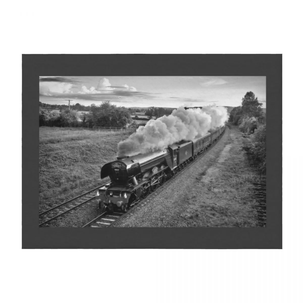 Flying Scotsman - Black and White Throw Blanket Hair warm winter Sofa Quilt Designers Blankets
Flying Scotsman - Black and White Throw Blanket Hair warm winter Sofa Quilt Designers Blankets