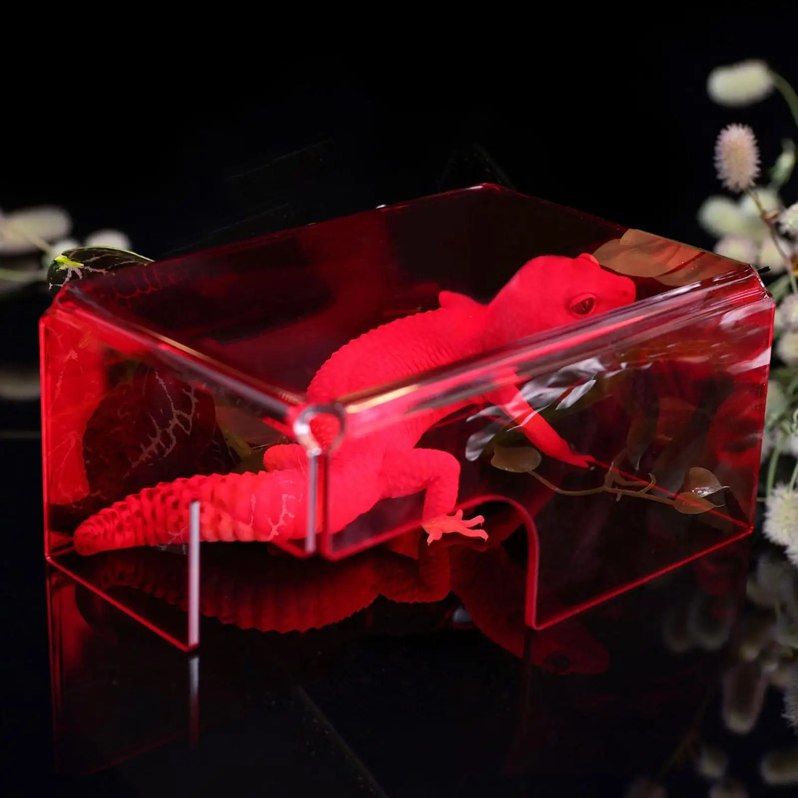 Укрытие для маленьких домашних животных, акриловая рептилия, скрывающая пещера, ящерица, убежище, декор для среды обитания животных для черепахи, змеи
Укрытие для маленьких домашних животных, акриловая рептилия, скрывающая пещера, ящерица, убежище, декор для среды обитания животных для черепахи, змеи