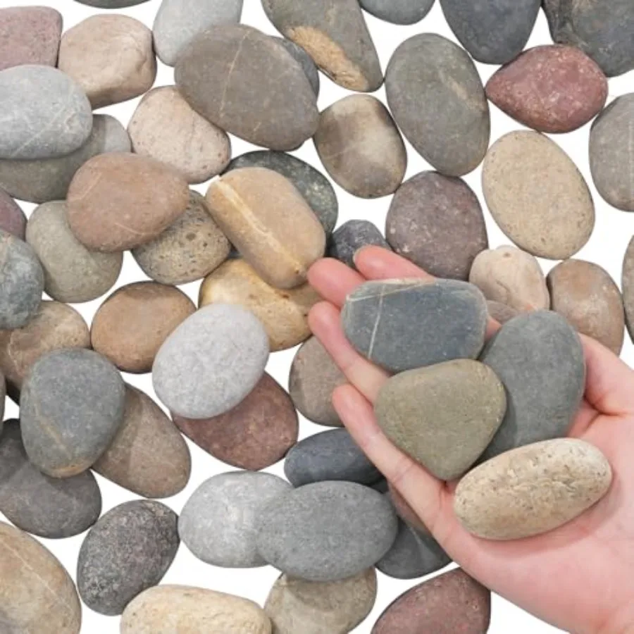 Natural River Rocks-20 lbs of Pebbles and River Stones, 2-3 Inch Plant Rocks for Landscaping, Garden Paving, Crafting, Walkways
Natural River Rocks-20 lbs of Pebbles and River Stones, 2-3 Inch Plant Rocks for Landscaping, Garden Paving, Crafting, Walkways