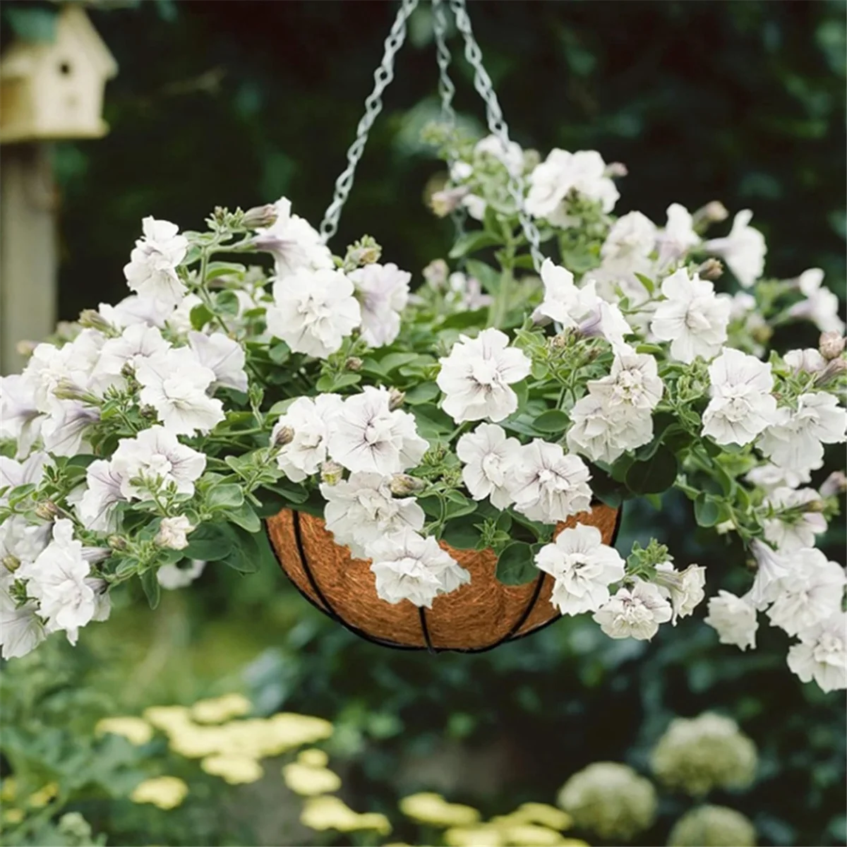 16Inch Hanging Basket Liner,Round Planter Liner for Hanging Basket,Coconut Fiber Liners for Hanging Baskets Plant FlowerJKL
16Inch Hanging Basket Liner,Round Planter Liner for Hanging Basket,Coconut Fiber Liners for Hanging Baskets Plant FlowerJKL