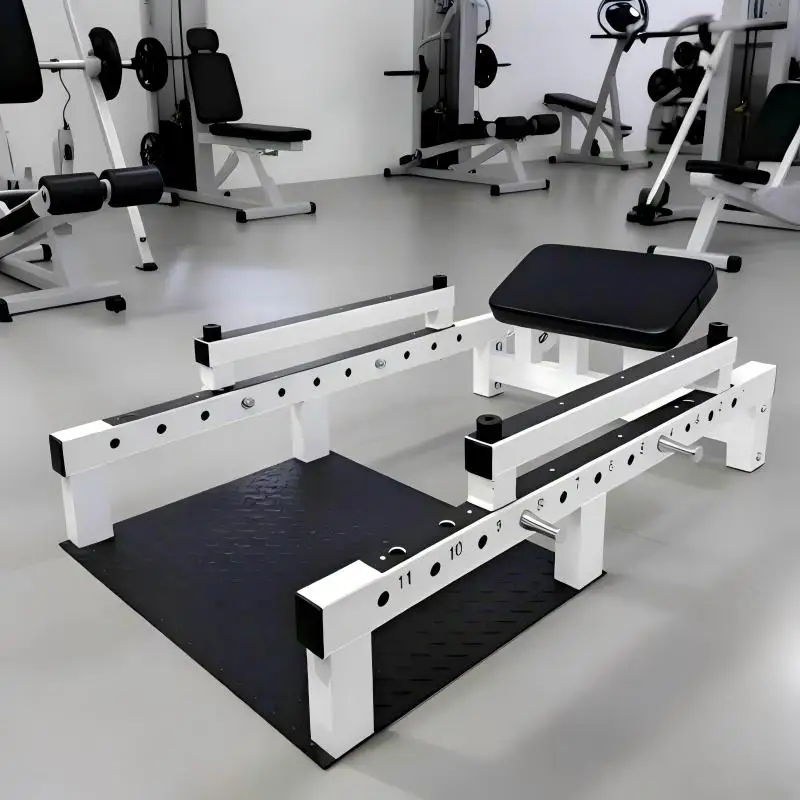 Home use Plate Loaded Trainer Hip Glute Bridge Machine Commercial Heavy Duty Glute Drive for Glute Muscles Buildingpromote s
Home use Plate Loaded Trainer Hip Glute Bridge Machine Commercial Heavy Duty Glute Drive for Glute Muscles Buildingpromote s