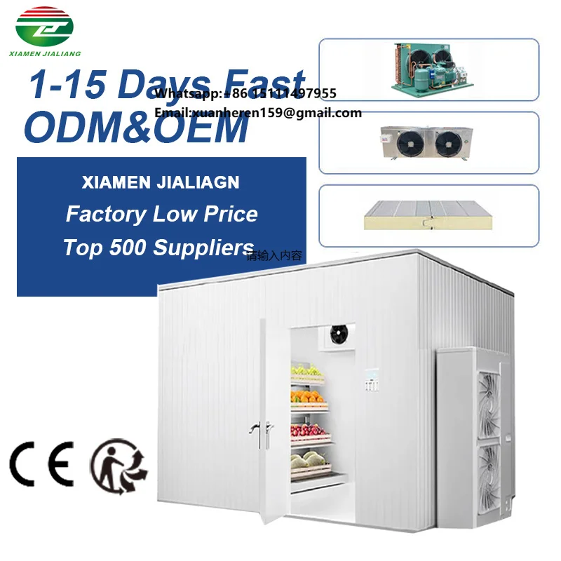 Cold Storage Equipment Refrigeration Unit Air Cooler Seafood Quick Frezing Frezer Vegetable Fruit Cold Roo
Cold Storage Equipment Refrigeration Unit Air Cooler Seafood Quick Frezing Frezer Vegetable Fruit Cold Roo