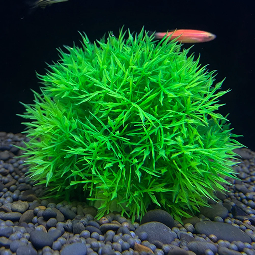 4 Pcs Simulated Water Grass Flower Ball Aquarium Plants Household Decoration Pp Decorations Fish Tank
4 Pcs Simulated Water Grass Flower Ball Aquarium Plants Household Decoration Pp Decorations Fish Tank