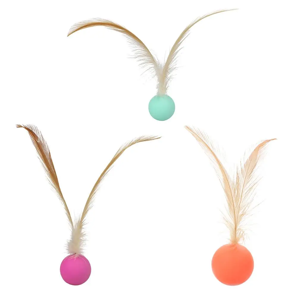 3 Pcs Balls Toy Durable Rubber Artificial Interactive Cat Toy for Cats Pet Supplies Elastic Balls Kitten Teaser Toys
3 Pcs Balls Toy Durable Rubber Artificial Interactive Cat Toy for Cats Pet Supplies Elastic Balls Kitten Teaser Toys