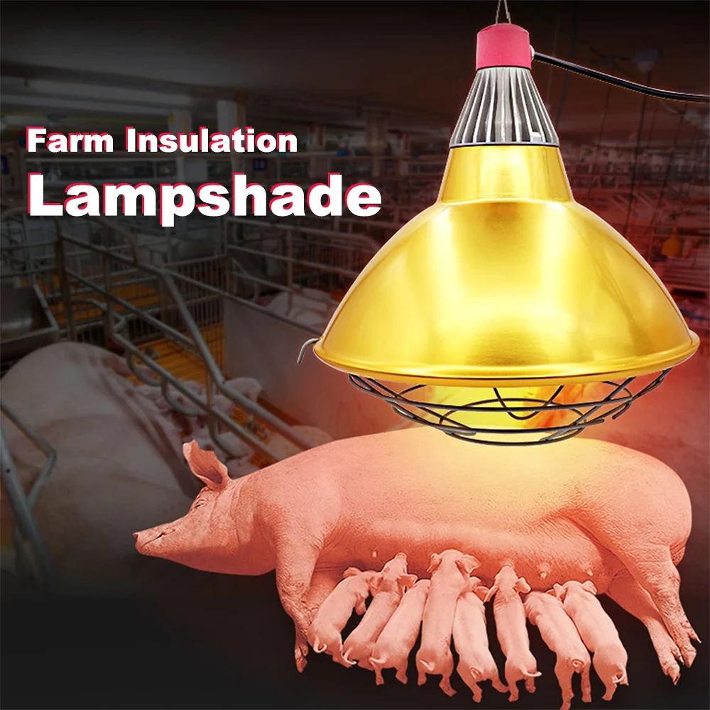 220V Insulation Lampshade Heating Lampshade Livestock Poultry Breeding Lampshade Thermal Insulation Equipment Breeding Supplies
220V Insulation Lampshade Heating Lampshade Livestock Poultry Breeding Lampshade Thermal Insulation Equipment Breeding Supplies