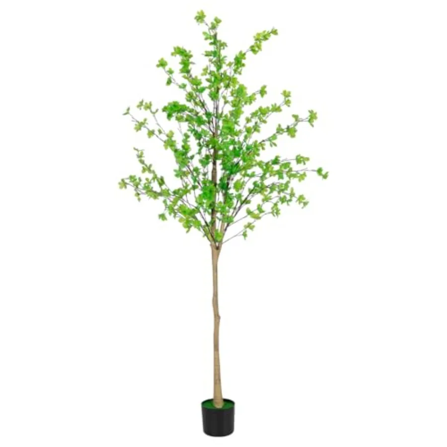 Искусственное оливковое дерево высотой 6 футов с натуральным дизайном ствола для домашнего декора, большое искусственное растение в горшке, идеально подходит для офисной жизни
Искусственное оливковое дерево высотой 6 футов с натуральным дизайном ствола для домашнего декора, большое искусственное растение в горшке, идеально подходит для офисной жизни