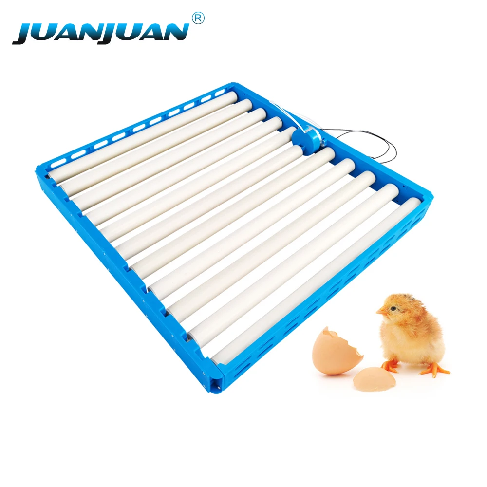 360° Roller Automatic Eggs Incubator 70 Eggs Tray AC110V 220V Poultry Hatching Turner Egg Turning Tool for Chicken Duck Quail
360° Roller Automatic Eggs Incubator 70 Eggs Tray AC110V 220V Poultry Hatching Turner Egg Turning Tool for Chicken Duck Quail