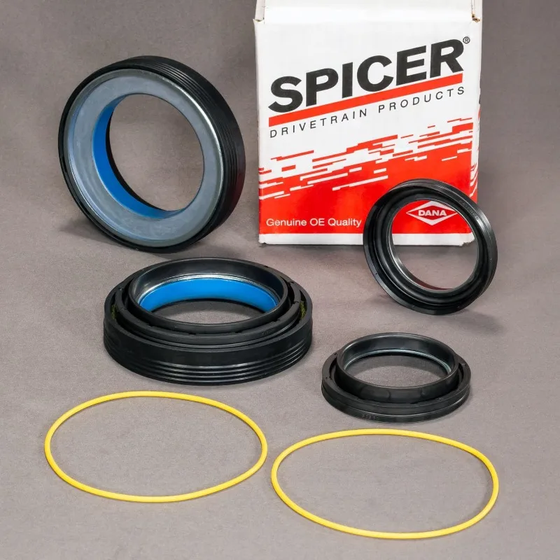 INNER KNUCKLE O-RING & DUST SEAL KIT - COMPATIBLE WITH SUPERDUTY F350 F250 DANA 50 60
INNER KNUCKLE O-RING & DUST SEAL KIT - COMPATIBLE WITH SUPERDUTY F350 F250 DANA 50 60