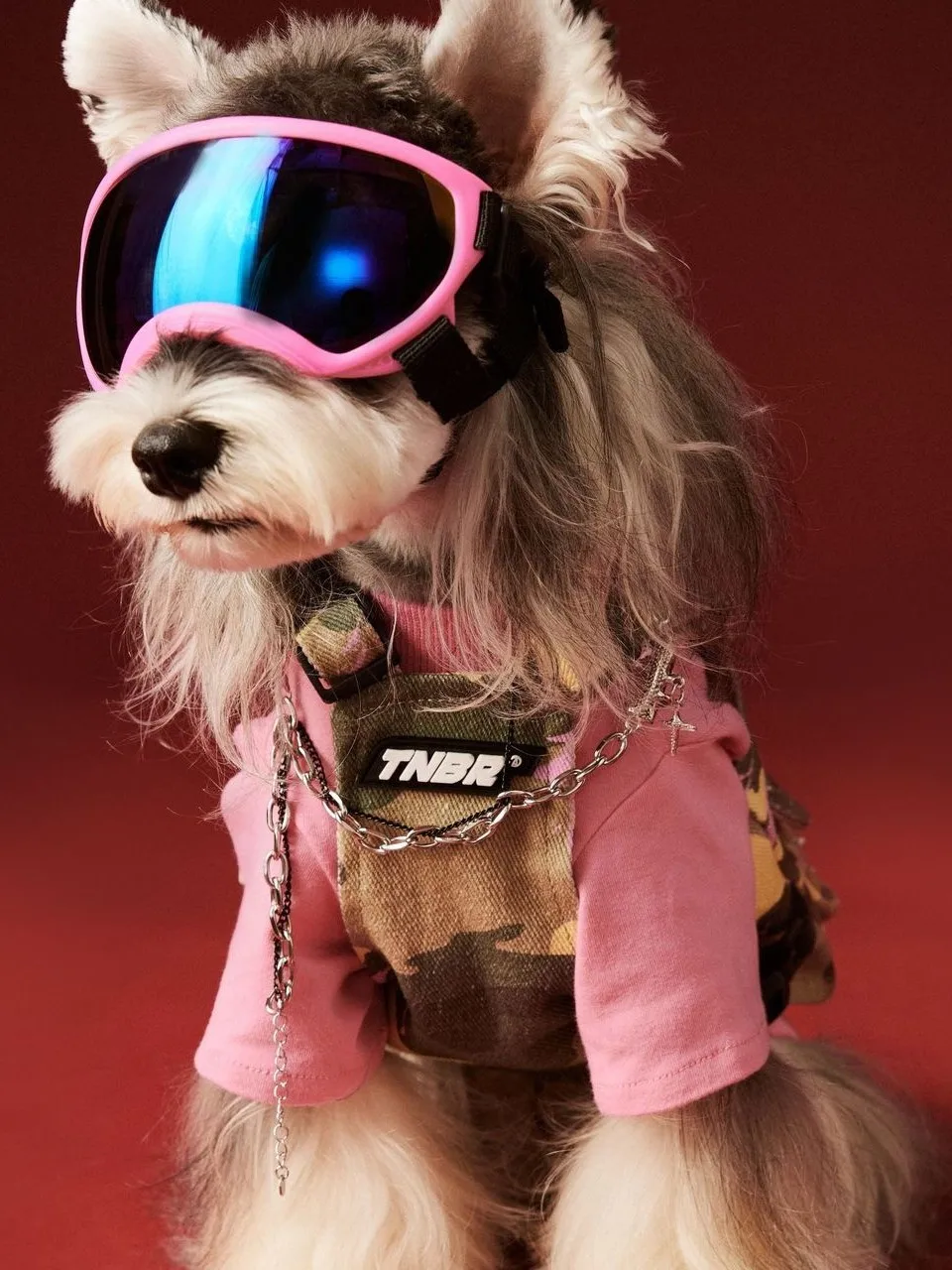 Casual Camouflage Workwear Jacket for Dogs with Leash Buckle Small Body Schnauzer Teddy Bichon Vest Skirt Breathable Pet Clothes
Casual Camouflage Workwear Jacket for Dogs with Leash Buckle Small Body Schnauzer Teddy Bichon Vest Skirt Breathable Pet Clothes