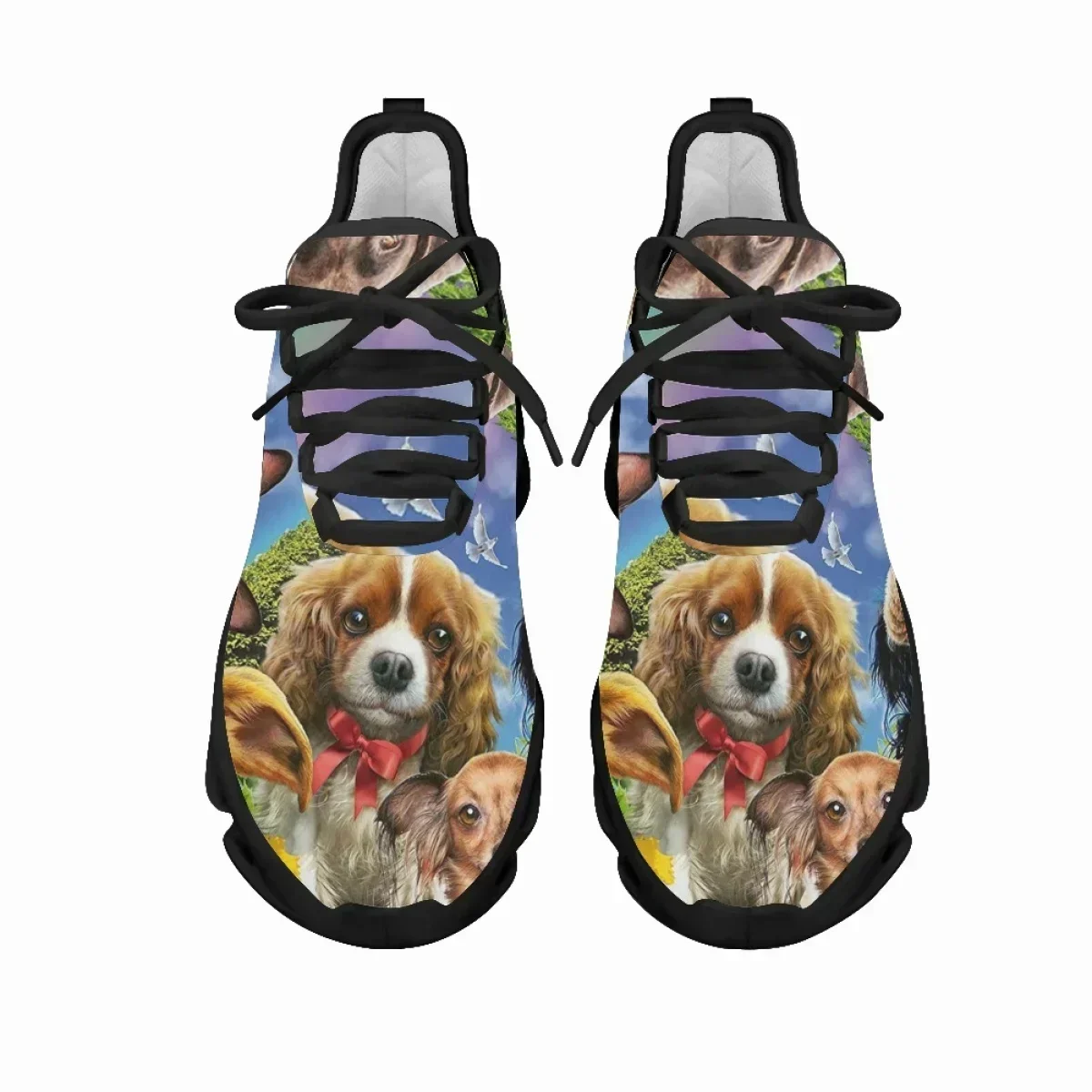 Casual Spring Flats Shoes Cute Animal Print Custom Print Women Lace Flats Zapatillas Mujer Breathable Comfort Sneakers
Casual Spring Flats Shoes Cute Animal Print Custom Print Women Lace Flats Zapatillas Mujer Breathable Comfort Sneakers