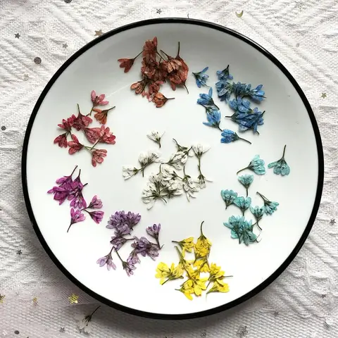 100X Dry Pressed Lysimachia Barystachys Bunge Flower Plant Herbarium For Jewelry Postcard Invitation Card Scrapbook Bookmark DIY