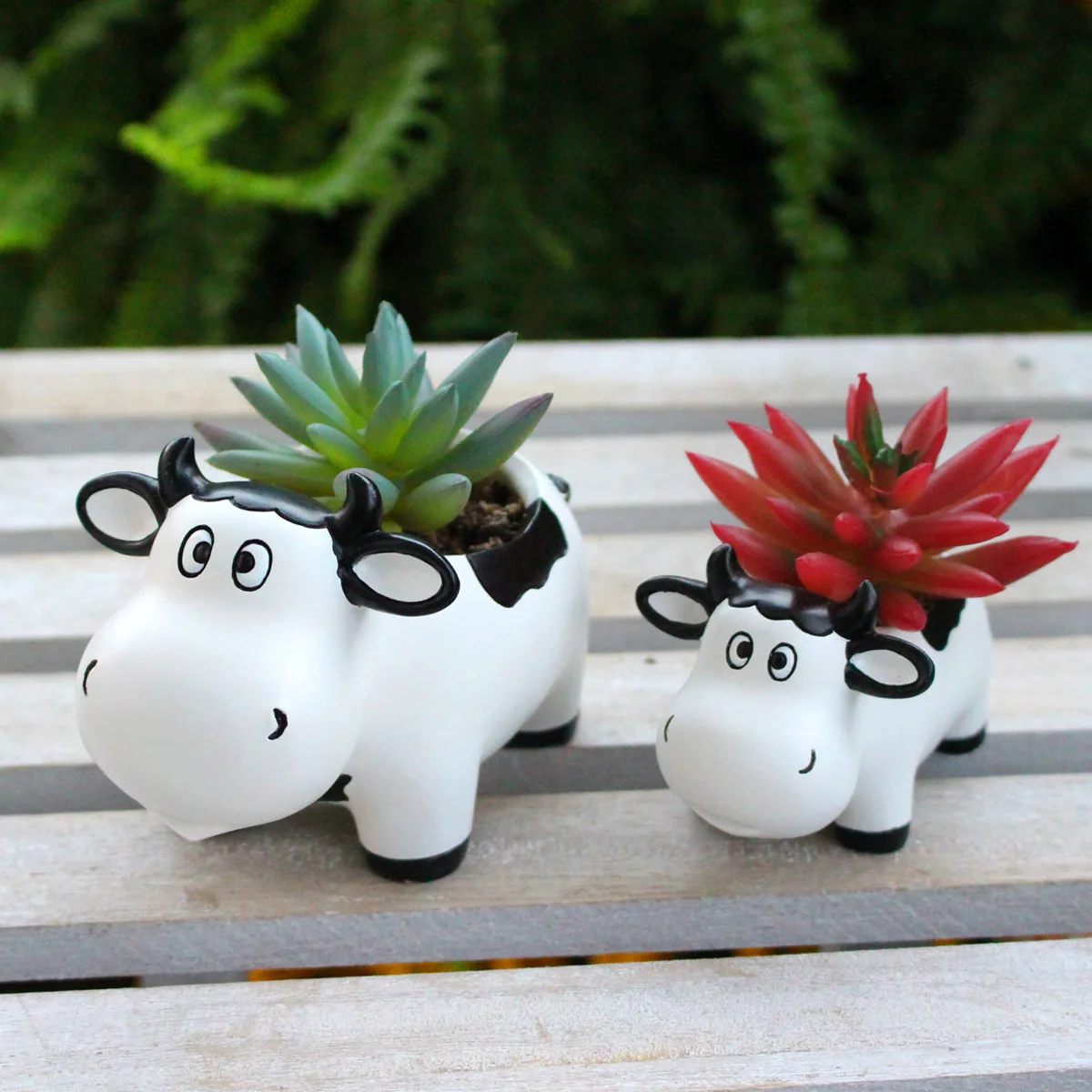 Cow Flower Pot Pair - Cute Cartoon Planter Set,Garden & Patio Decor, Durable Resin Vase,Perfect for Outdoor Plants & Home Decor
Cow Flower Pot Pair - Cute Cartoon Planter Set,Garden & Patio Decor, Durable Resin Vase,Perfect for Outdoor Plants & Home Decor