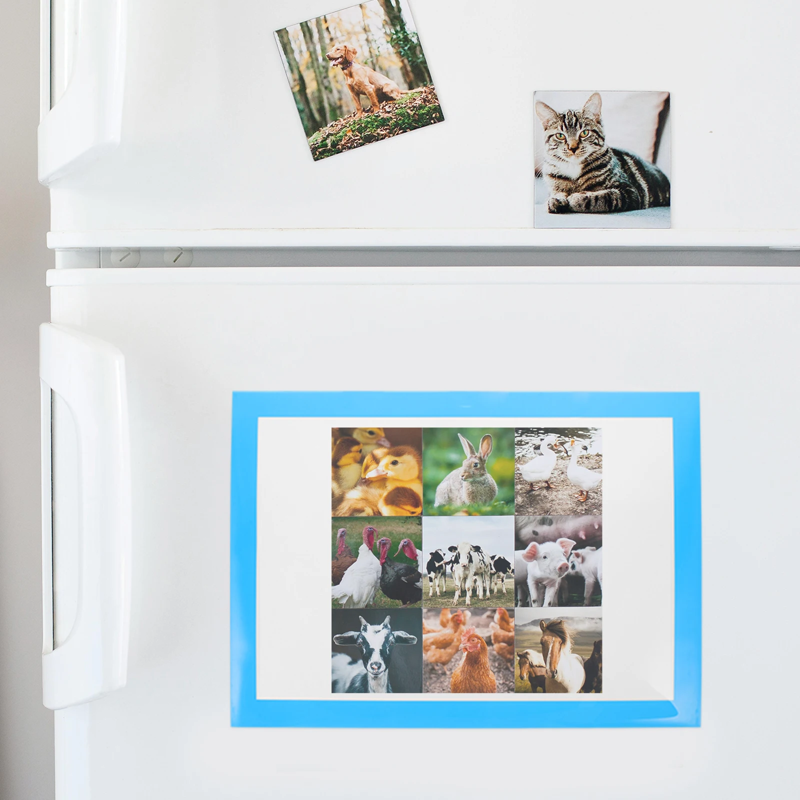 A4 Horizontal Magnetic Photo Frame File Holder Office Fridge Decorative Picture Retaining Clip Reusable for Christmas
A4 Horizontal Magnetic Photo Frame File Holder Office Fridge Decorative Picture Retaining Clip Reusable for Christmas