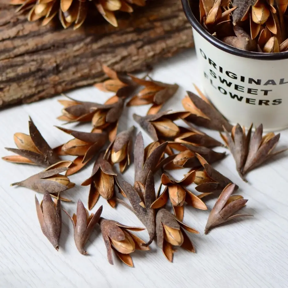 Car Repairing Tool Spark Plug Socket Wrench Magnetic 12 Angle Spark Plug Removal Tool Thin Wall 3/8" Drive Sockets 14mm 16mm
Car Repairing Tool Spark Plug Socket Wrench Magnetic 12 Angle Spark Plug Removal Tool Thin Wall 3/8" Drive Sockets 14mm 16mm