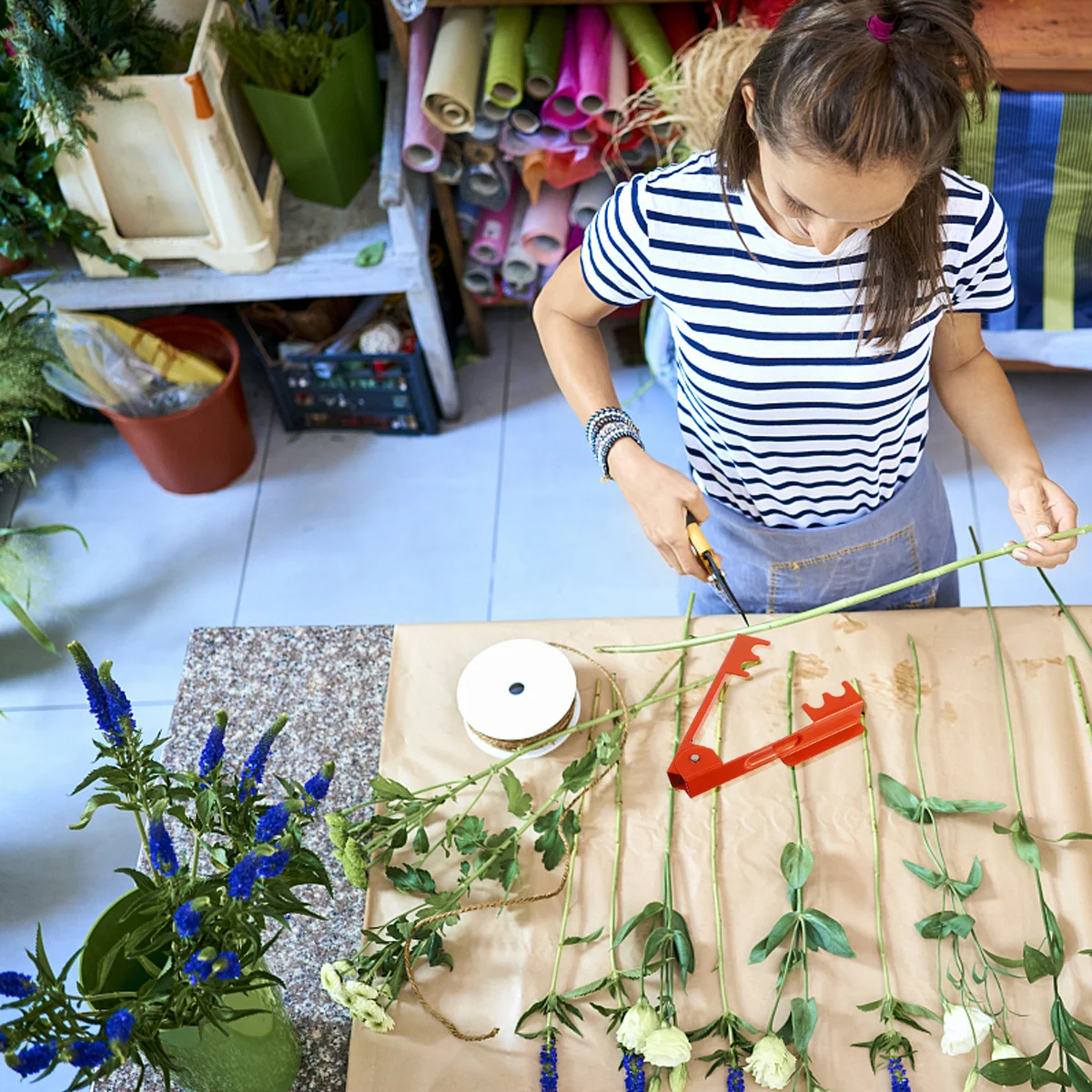 2Pcs Rose Thorn Stripper Metal Paint Plier Spring Handle Garden Stem Cleaner Leaf Removal Tool Flower Thorn Remover
2Pcs Rose Thorn Stripper Metal Paint Plier Spring Handle Garden Stem Cleaner Leaf Removal Tool Flower Thorn Remover