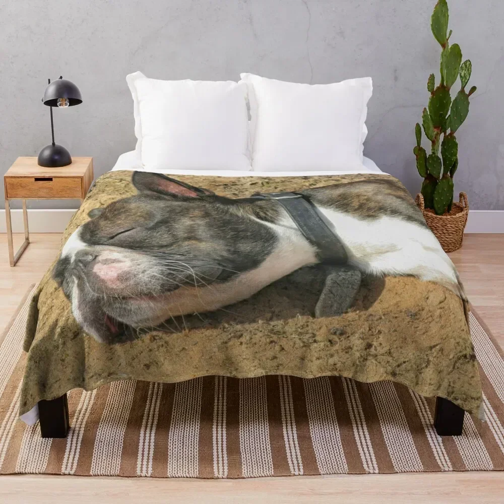 Boston Terrier sleeping Throw Blanket Stain Resistant Cozy Warm Blanket
Boston Terrier sleeping Throw Blanket Stain Resistant Cozy Warm Blanket