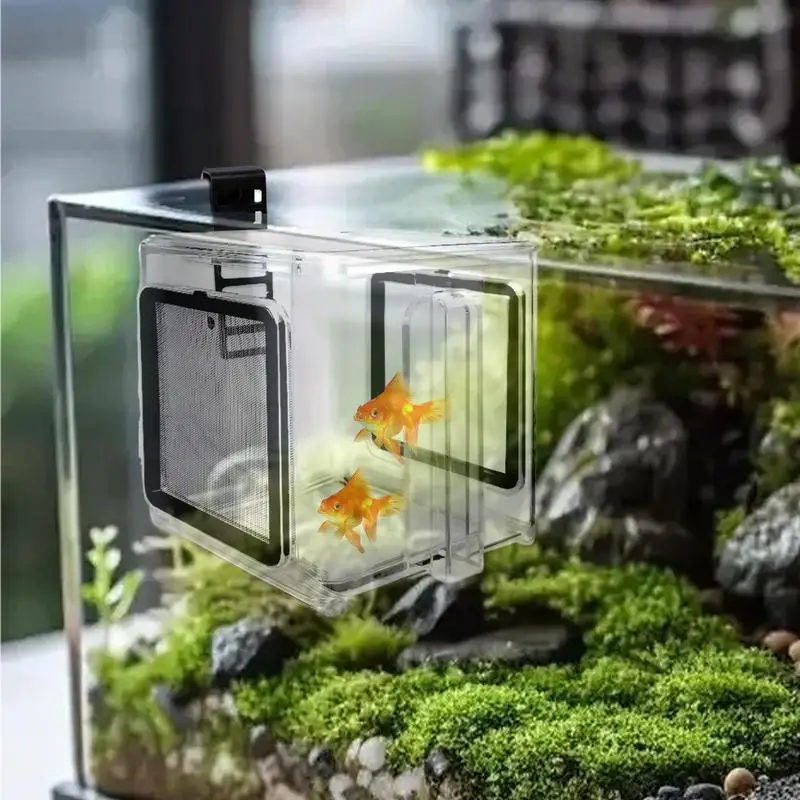 Breeder Box For Fish Tank Acrylic Fish Isolation Box Acrylic Divider Breeder Hatching Isolation Accessory For Freshwater Shrimp
Breeder Box For Fish Tank Acrylic Fish Isolation Box Acrylic Divider Breeder Hatching Isolation Accessory For Freshwater Shrimp