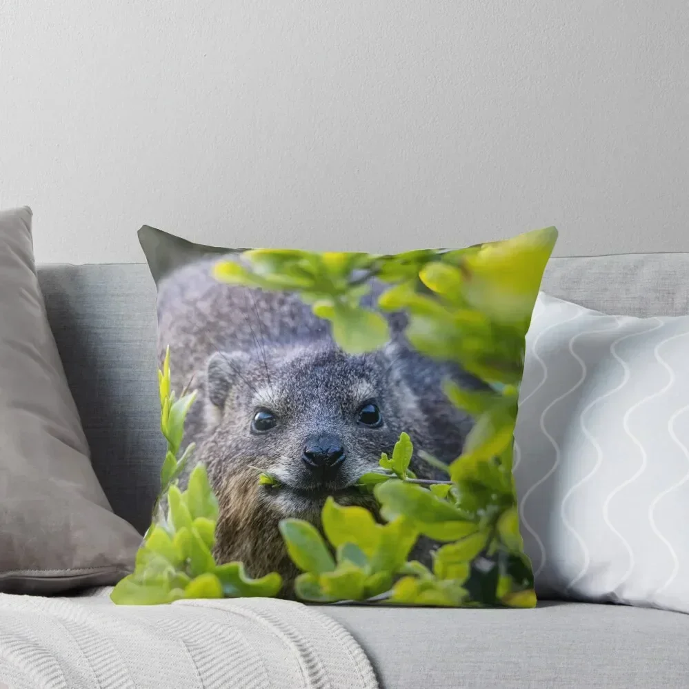 Cape Hyrax on Boulders Beach Throw Pillow Pillow Covers Decorative autumn pillowcase Covers For Sofas pillow
Cape Hyrax on Boulders Beach Throw Pillow Pillow Covers Decorative autumn pillowcase Covers For Sofas pillow