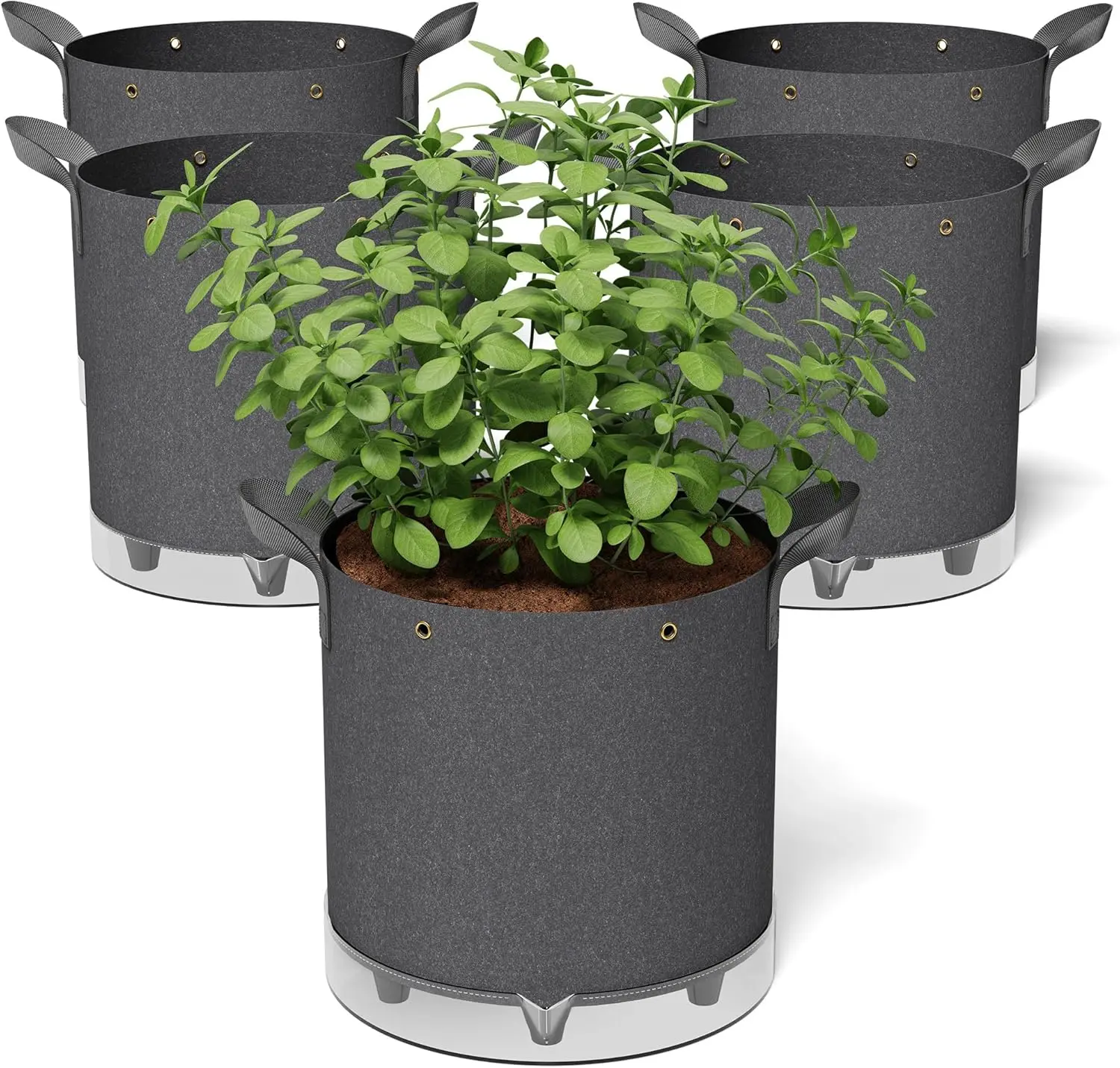 Self-Watering Grow Bags 5-Pack 5 Gallon 420G Thick Fabric Pots with Handles and Rings for Plants
Self-Watering Grow Bags 5-Pack 5 Gallon 420G Thick Fabric Pots with Handles and Rings for Plants