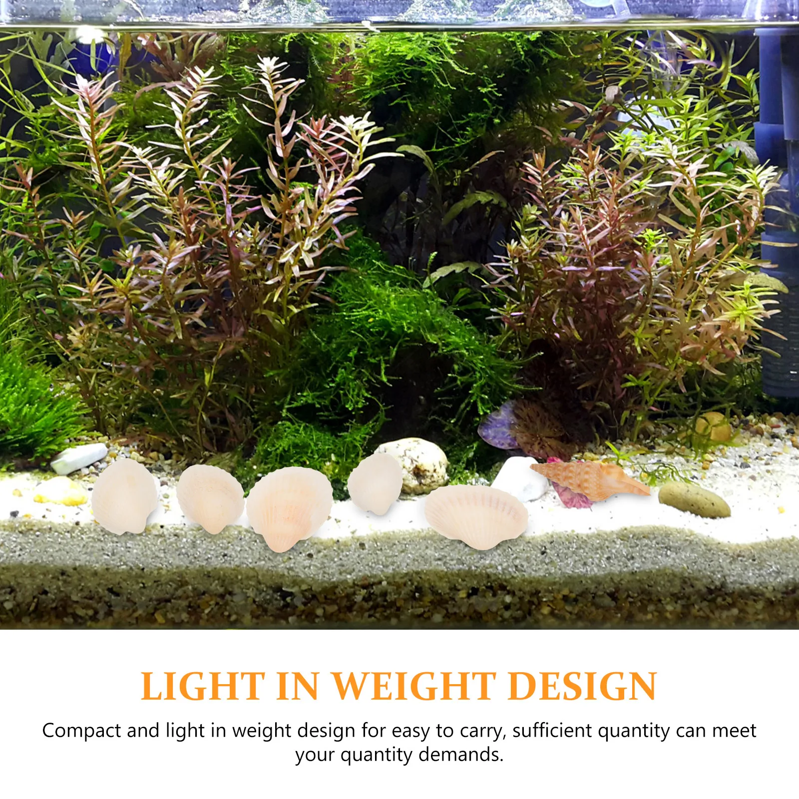 DIY Craft Material White Seashells Bulk Shells for Jewelry Making Small naments Decor Fish Tank Aquarium Desktop Safe Water
DIY Craft Material White Seashells Bulk Shells for Jewelry Making Small naments Decor Fish Tank Aquarium Desktop Safe Water