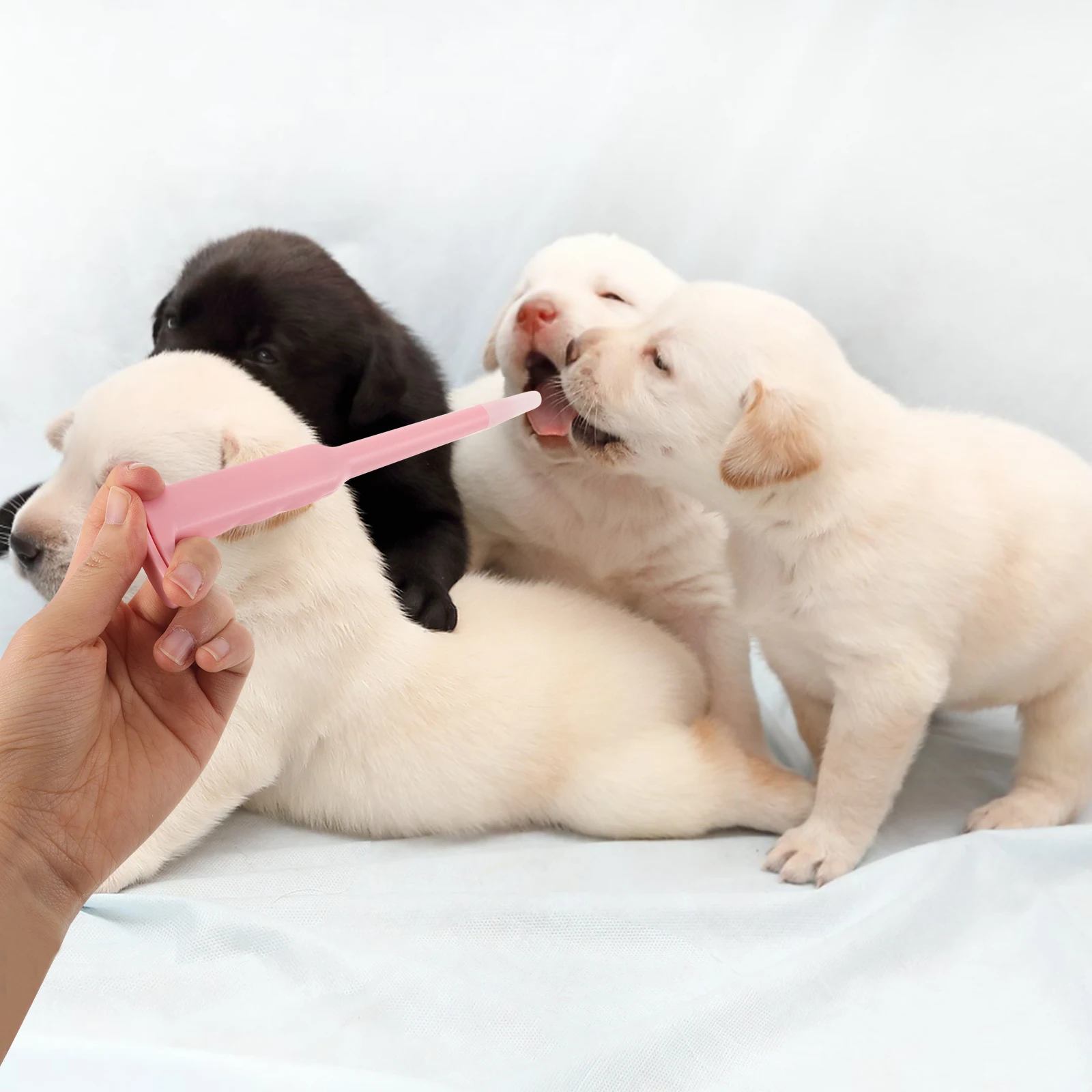 3pcs Pet Medication Dispenser Soft Tip Pill Shooter For Dogs Cats Precise Feeding Tool Push Mechanism Portable Puppy Tablet
3pcs Pet Medication Dispenser Soft Tip Pill Shooter For Dogs Cats Precise Feeding Tool Push Mechanism Portable Puppy Tablet