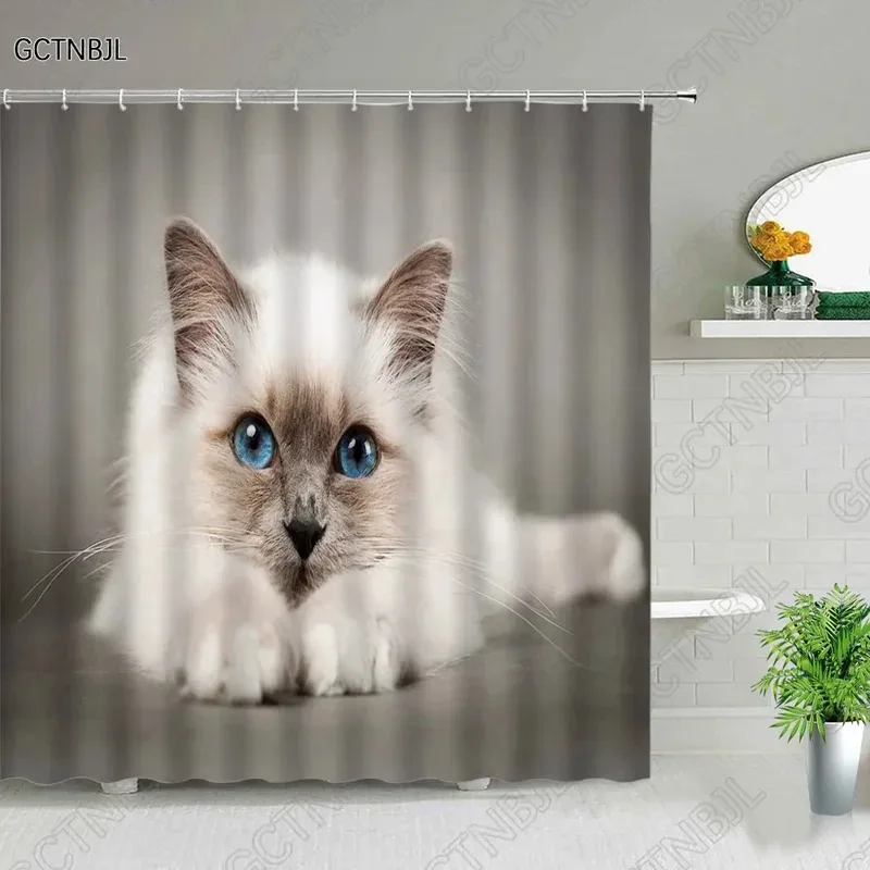 ZHL22Cat занавеска для душа с собакой, забавная творческая личность, перегородка с изображением мультяшного животного, милый домашний детский узор, декор для ванной комнаты2Ol%
ZHL22Cat занавеска для душа с собакой, забавная творческая личность, перегородка с изображением мультяшного животного, милый домашний детский узор, декор для ванной комнаты2Ol%