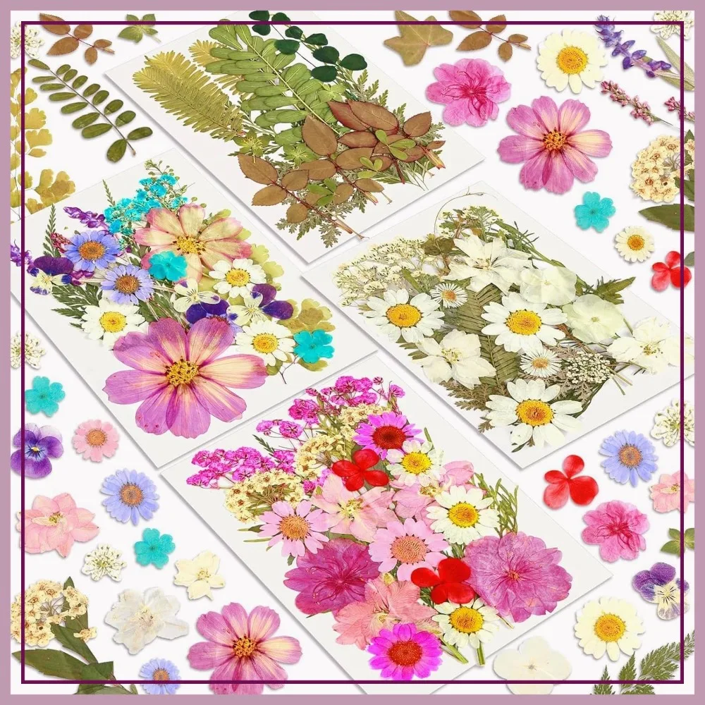 100Pcs Dried Flowers for Craft, Resin, Soap, Candle, Scrapbooking, Card Making, Jewelry
100Pcs Dried Flowers for Craft, Resin, Soap, Candle, Scrapbooking, Card Making, Jewelry