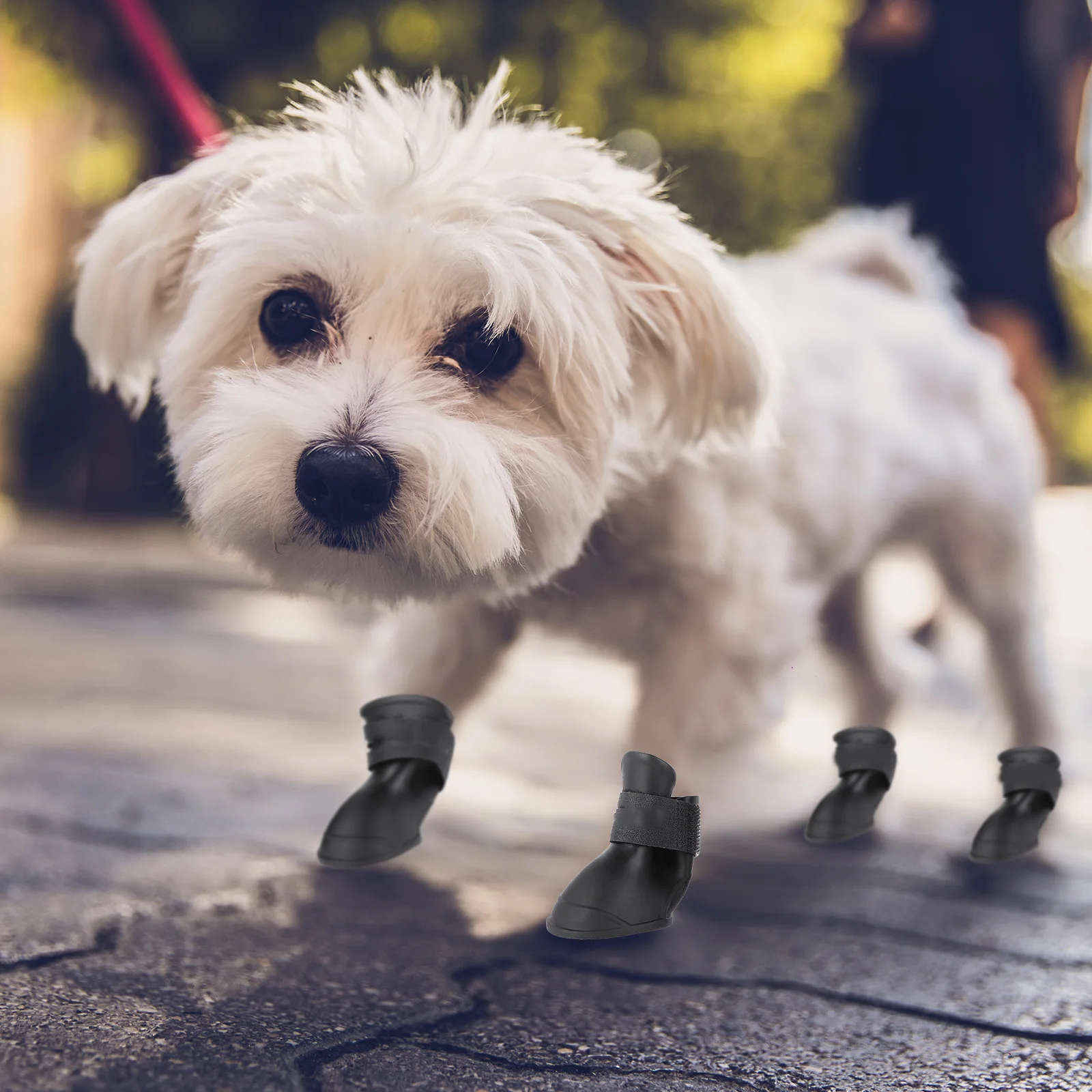 Pet Non-slip Shoes Dog Walking Boots Rain Waterproof Socks Snow Foot Covers Resistant Puppy
Pet Non-slip Shoes Dog Walking Boots Rain Waterproof Socks Snow Foot Covers Resistant Puppy