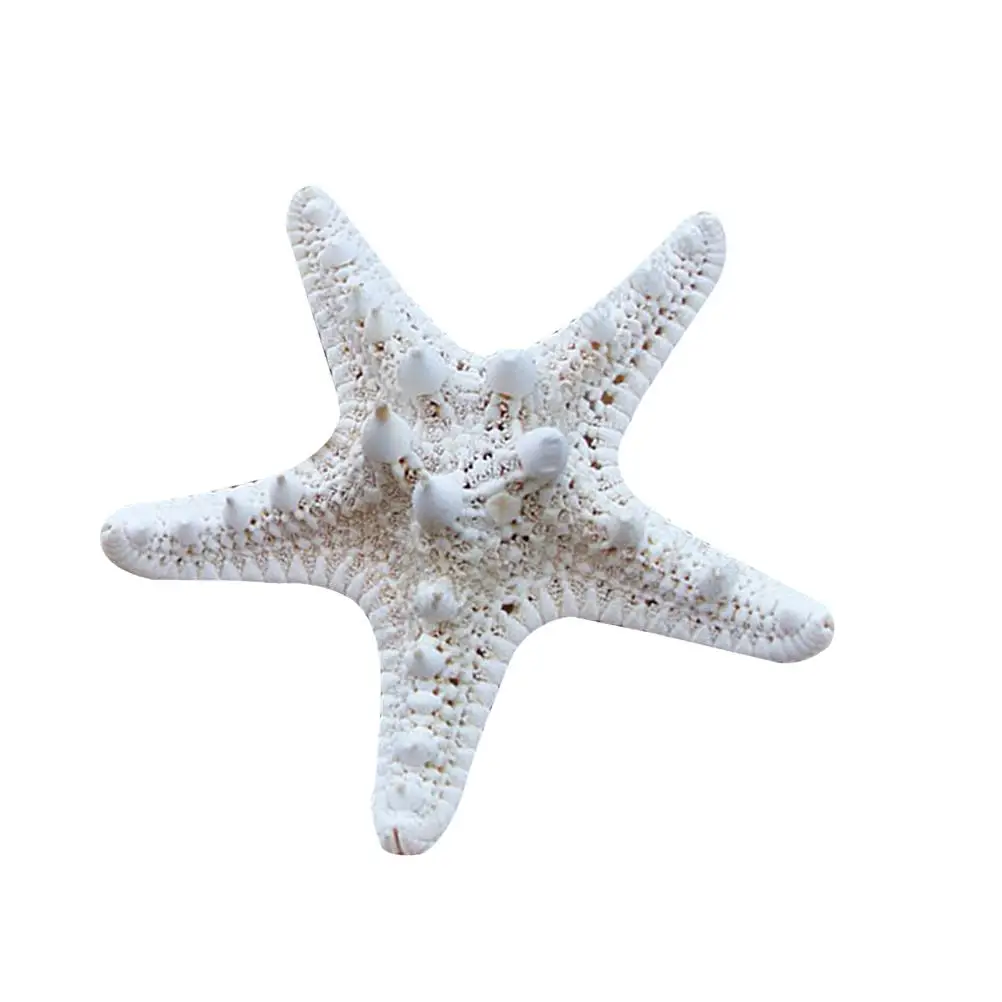 2Pcs Sea Star Ornaments Ocean Themed Decorations Shine Home Party Craft Vase Filling Christmas Decor Photo
2Pcs Sea Star Ornaments Ocean Themed Decorations Shine Home Party Craft Vase Filling Christmas Decor Photo