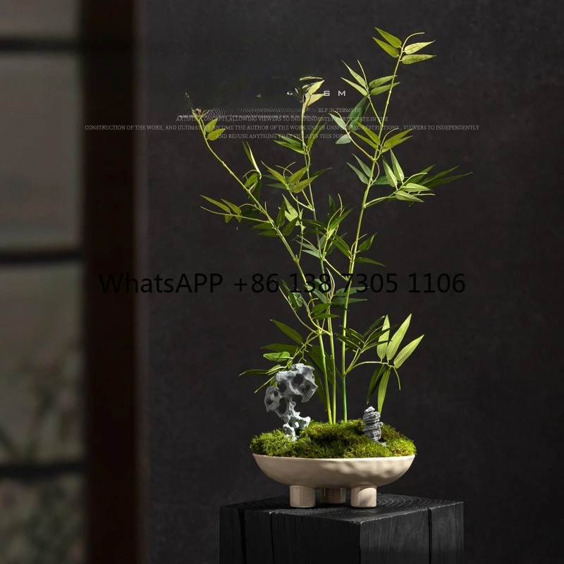 Wabi Silent Wind Indoor Green Plant Bonsai Tea Room Tea Table Study Desktop Decoration New Chinese Ornament
Wabi Silent Wind Indoor Green Plant Bonsai Tea Room Tea Table Study Desktop Decoration New Chinese Ornament