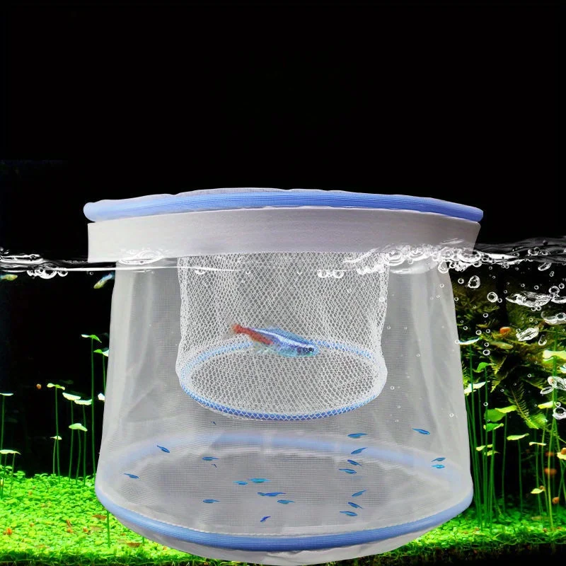 2-Pack Fish Breeding Box: Flip-Top Lid & Mesh Ventilation for Guppies, Fry & Shrimp. Floating & Durable Nylon Design
2-Pack Fish Breeding Box: Flip-Top Lid & Mesh Ventilation for Guppies, Fry & Shrimp. Floating & Durable Nylon Design