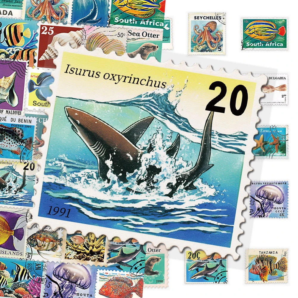 10/30/50pcs Creative Retro Marine Animal Stamps Stickers Transparent PET Decals Notebook Phone Guitar Car Cartoon Vintage Decals
10/30/50pcs Creative Retro Marine Animal Stamps Stickers Transparent PET Decals Notebook Phone Guitar Car Cartoon Vintage Decals