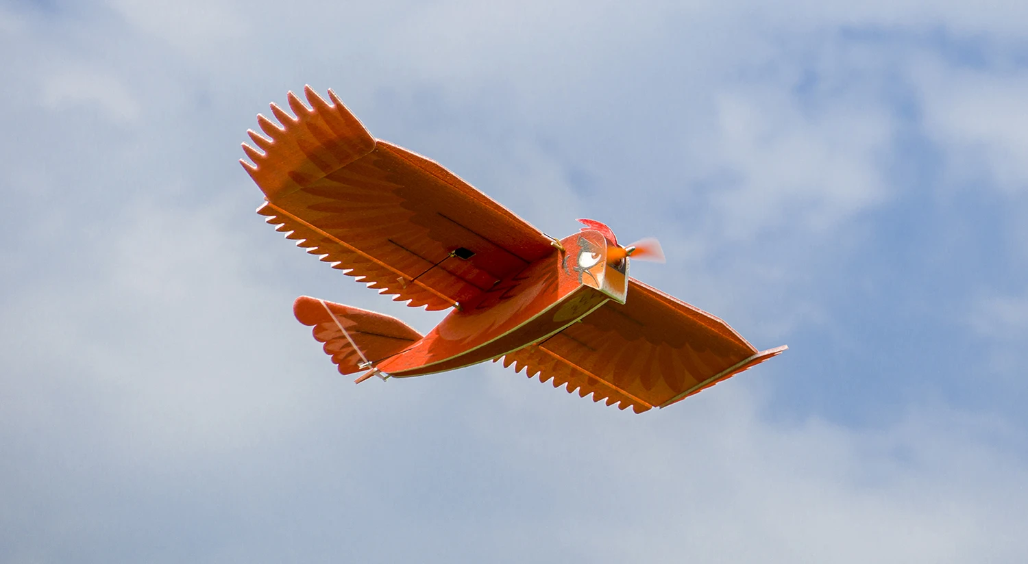 New Northern Cardinal EPP Foam Slow Flyer 1170mm wingspan RC Airplanes Plane Toy Model
New Northern Cardinal EPP Foam Slow Flyer 1170mm wingspan RC Airplanes Plane Toy Model