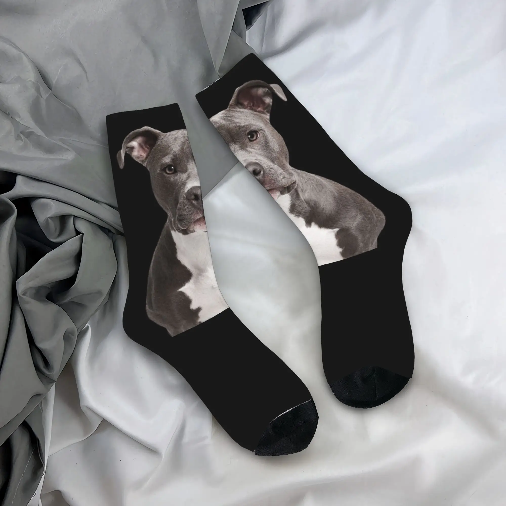 Custom Cool Mens American Pit Bull Terrier Dress Socks Unisex Warm Breathbale 3D Print Crew Socks
Custom Cool Mens American Pit Bull Terrier Dress Socks Unisex Warm Breathbale 3D Print Crew Socks