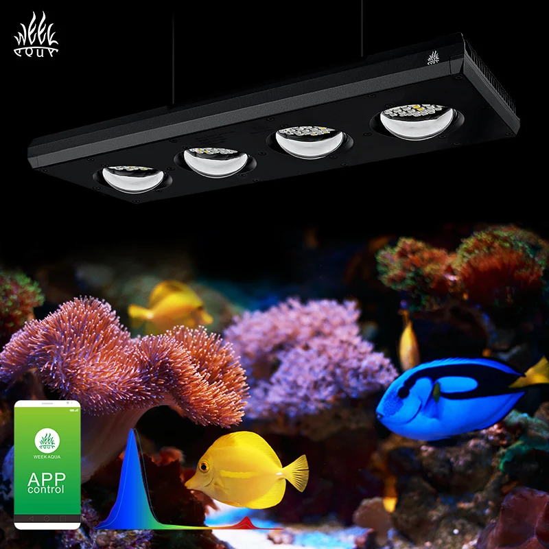 WEEK AQUA Aquarium Light Manufacturers Blue Reef Light Led Aquarium Marine Coral Light Salt And Water Lamp For Red Sea Reef Tank
WEEK AQUA Aquarium Light Manufacturers Blue Reef Light Led Aquarium Marine Coral Light Salt And Water Lamp For Red Sea Reef Tank