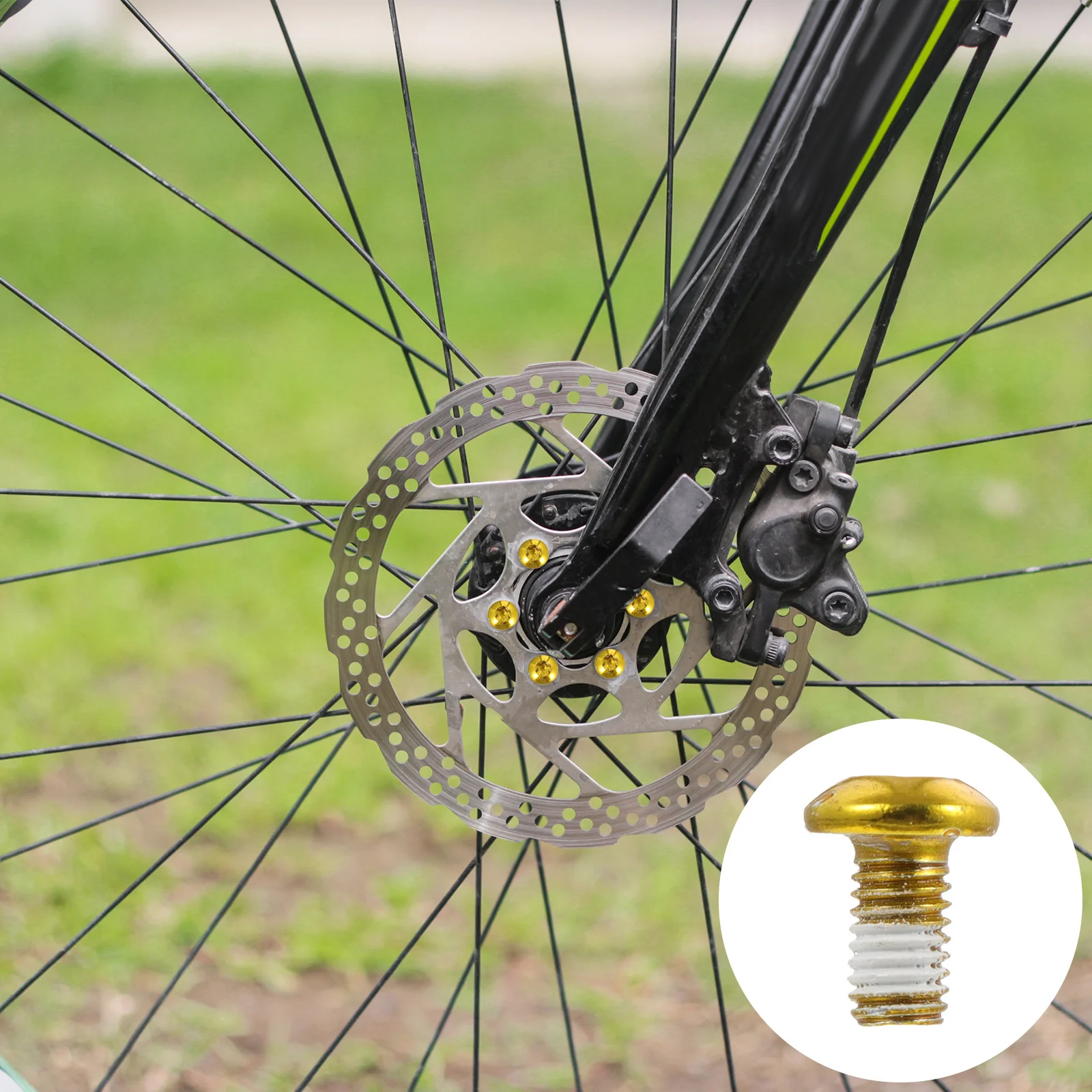 12Pcs Bike Disc Rotor Bolts Durable Wear Resistant Thread Screws Easy to Install for Novices and Experienced Repairers 
12Pcs Bike Disc Rotor Bolts Durable Wear Resistant Thread Screws Easy to Install for Novices and Experienced Repairers