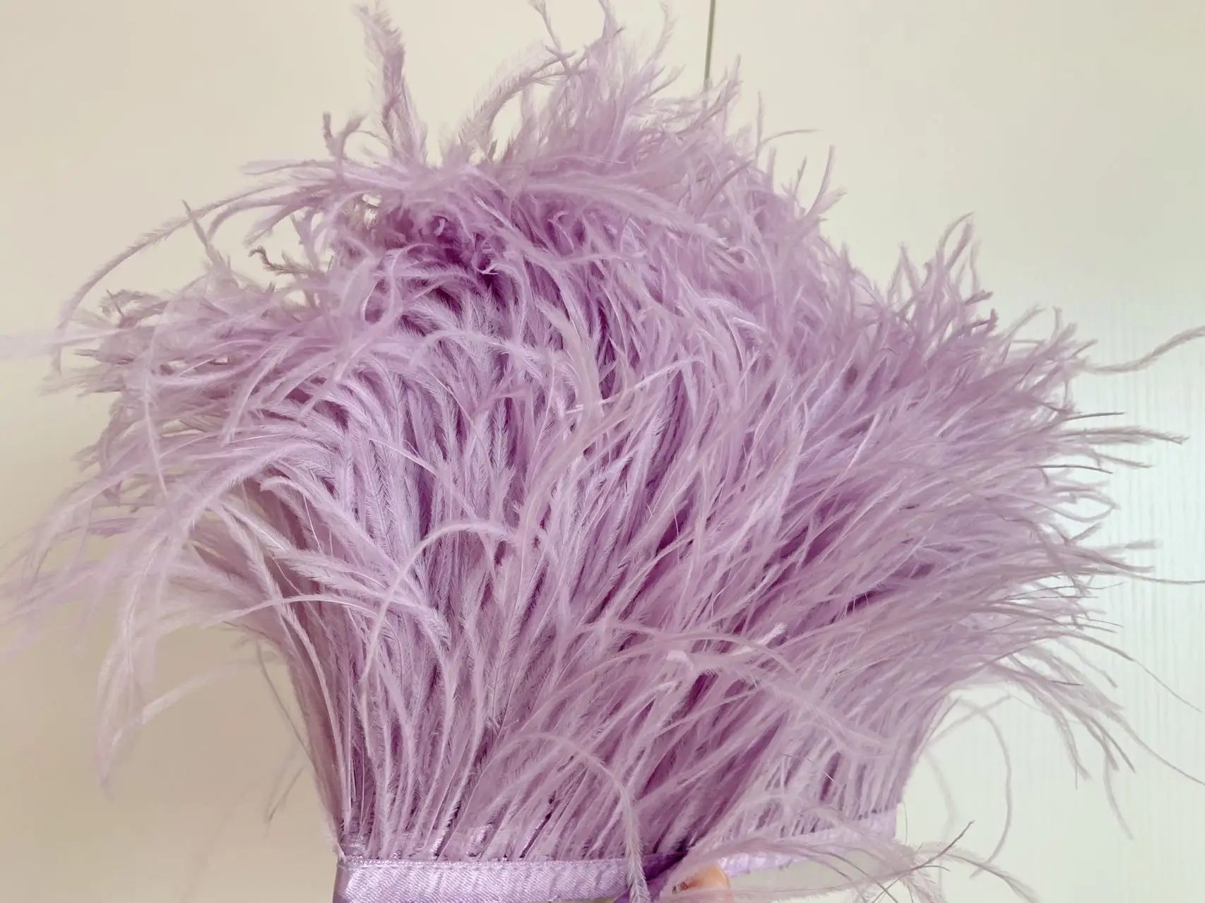 5 Yards Light Purple Ostrich Feather Ribbon Fringe Trim for Clothes Accessories,Wedding Dress Decoration,Plumes Crafts
5 Yards Light Purple Ostrich Feather Ribbon Fringe Trim for Clothes Accessories,Wedding Dress Decoration,Plumes Crafts