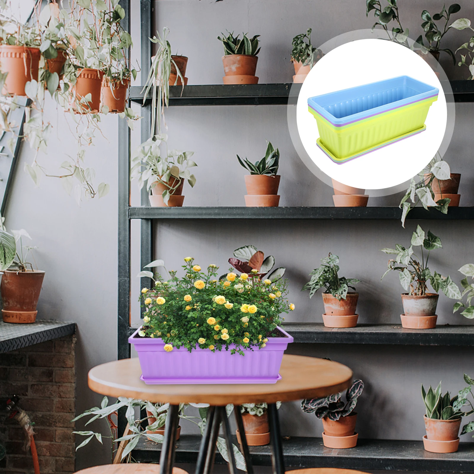 4 Sets Window Flower Pot with Tray Box Planter Garden Household Container Nursery for Resin
4 Sets Window Flower Pot with Tray Box Planter Garden Household Container Nursery for Resin