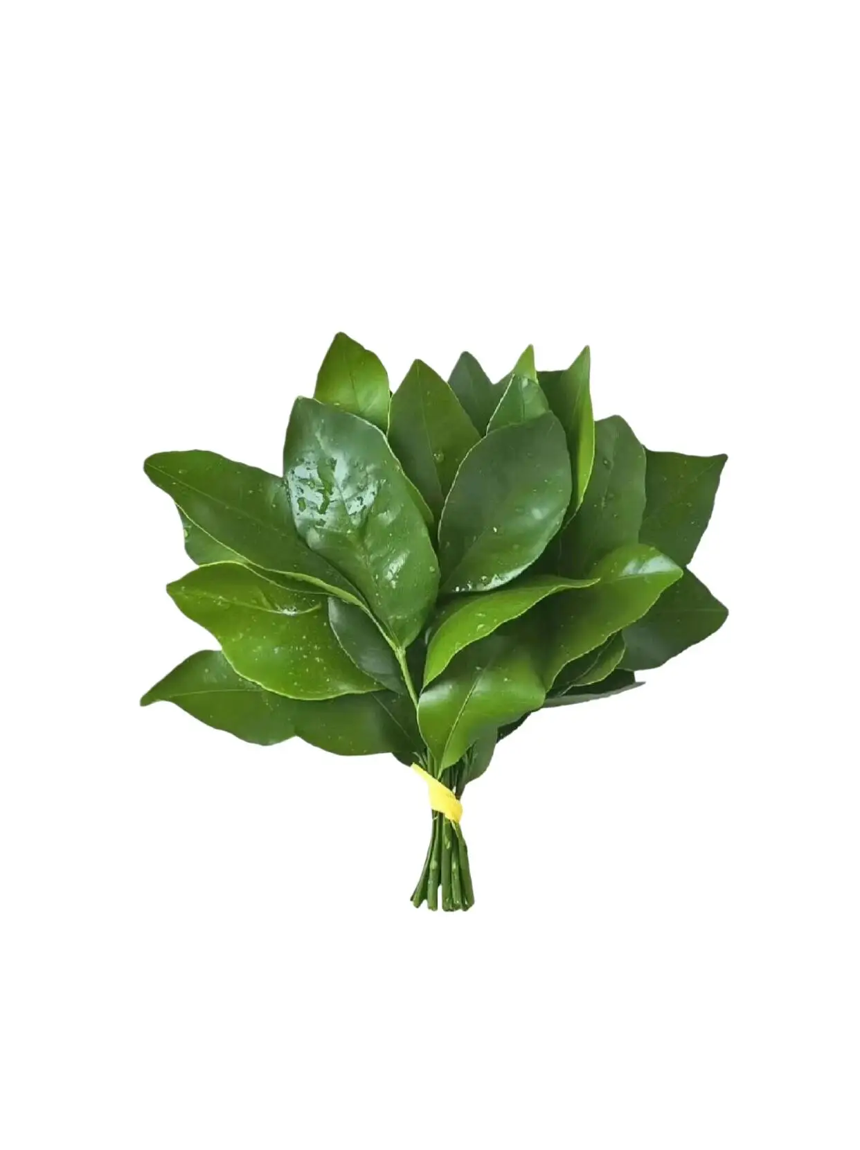 Bunny's Price Difference Customization Link (dsy)
Bunny's Price Difference Customization Link (dsy)